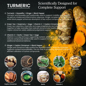 PAYAOCZ Complément Alimentaire Curcuma Bio 800mg avec Gingembre - Utilisation dans un verre d'eau