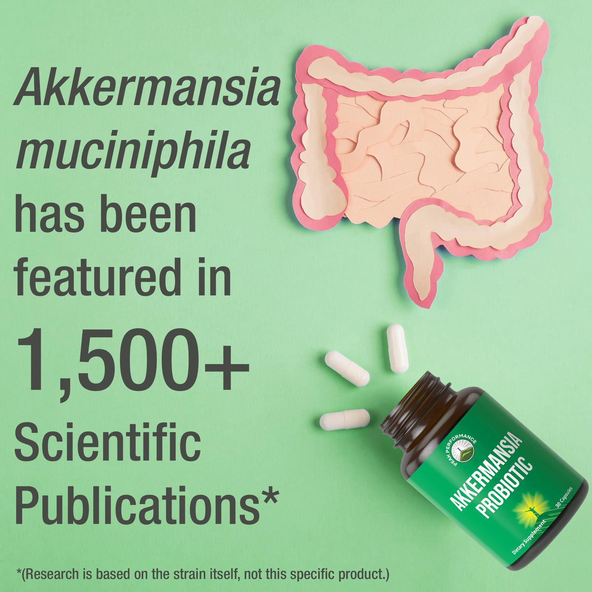 Peak Performance Akkermansia Probiotic Capsule in a hand
