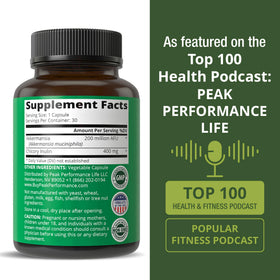 Peak Performance Akkermansia Probiotic Capsule with chicory inulin