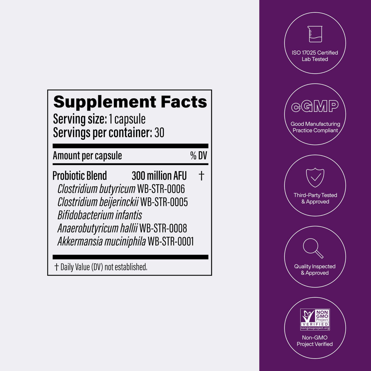 Pendulum a balanced routine Daily capsules en main