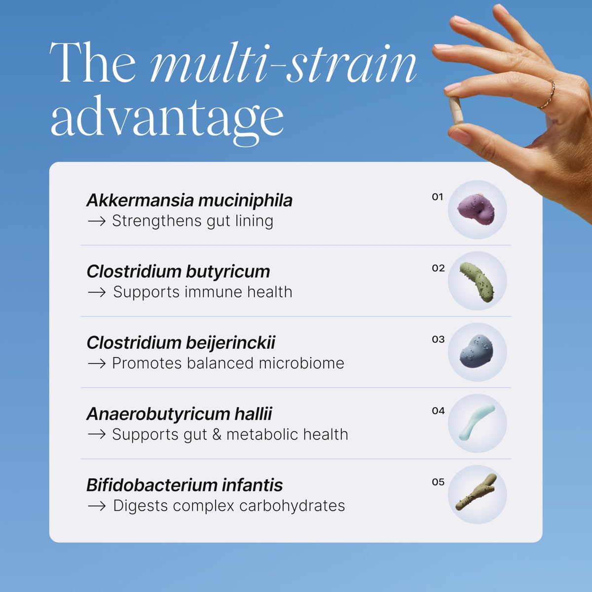 Pendulum a balanced routine Daily capsules ouvertes