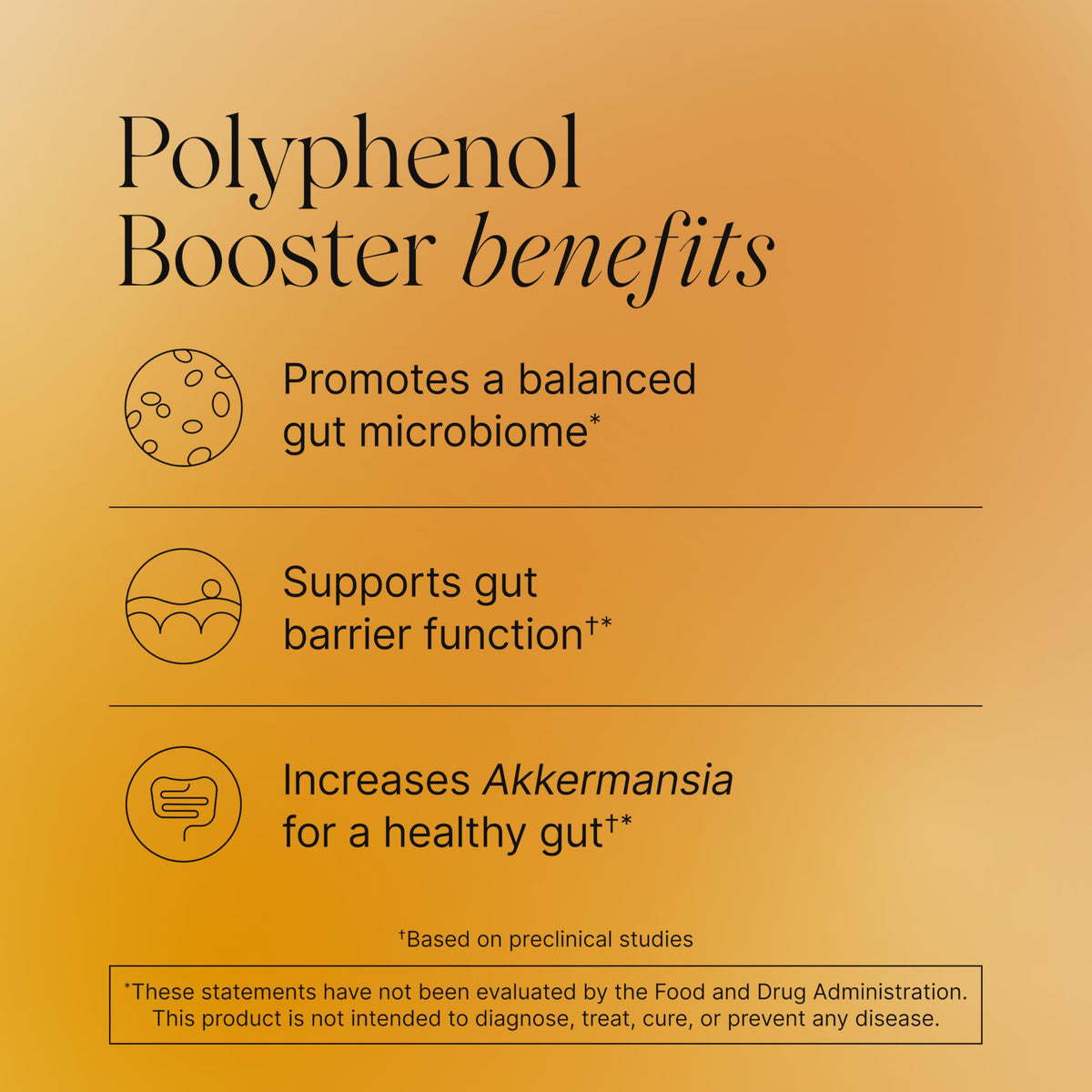 Pendulum Polyphenol support boîte avec capsules