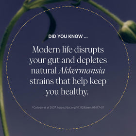 Pendulum Probiotique Akkermansia emballage et capsules