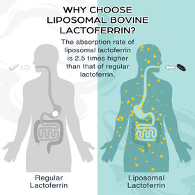 Pepeior Lactoferrine Liposomale 1000 mg gélules molles sur une surface