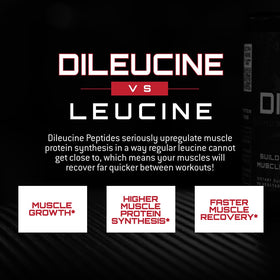 Peptide de dileucine 2000mg, poudre dans une cuillère