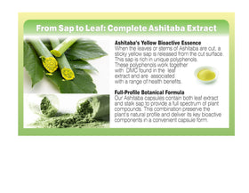 PHARMAKON Capsules Ashiataba Bio sur un fond naturel