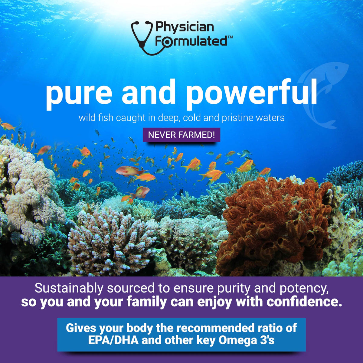Physician Formulated Huile de Poisson Omega 3 3000mg bouteille de côté