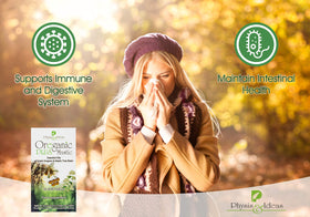 Physis & Ideas Mastic - capsules d'huile d'oregano et de mastic Chios - dosage par capsule