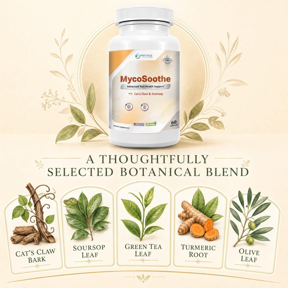 Phytage Labs MycoSoothe capsules ouvertes sur une table