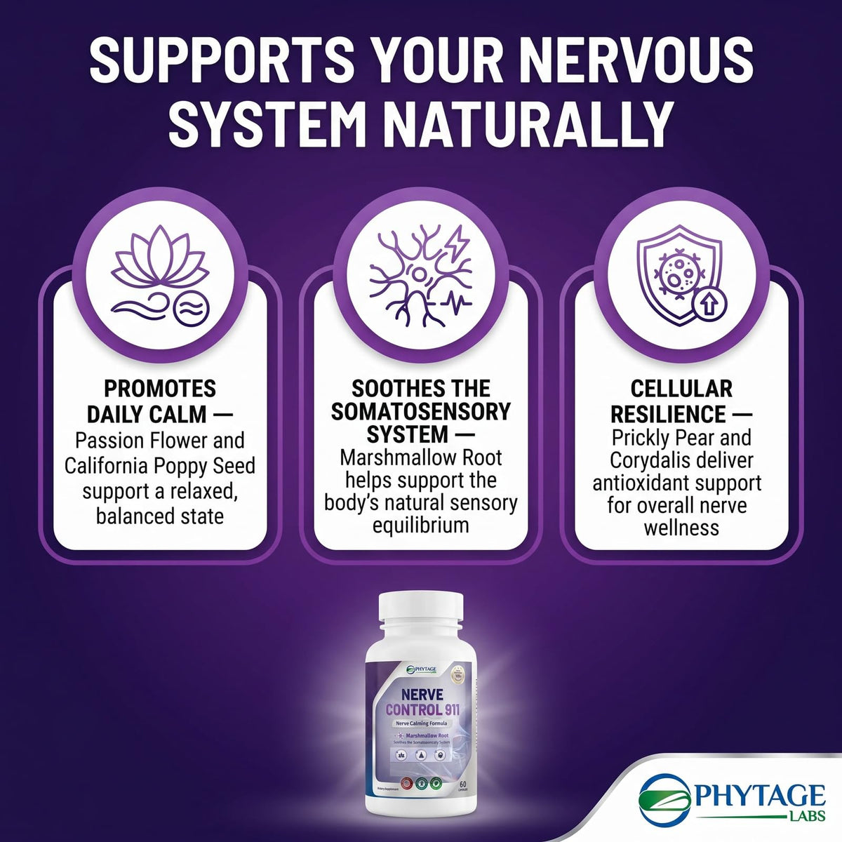 Phytage Labs Nerve Control 911 capsules sur une table