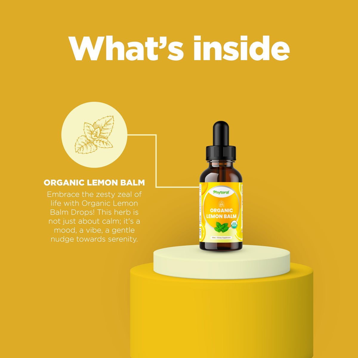 Phytoral Extrait Liquide de Mélisse 60 ml en bouteille