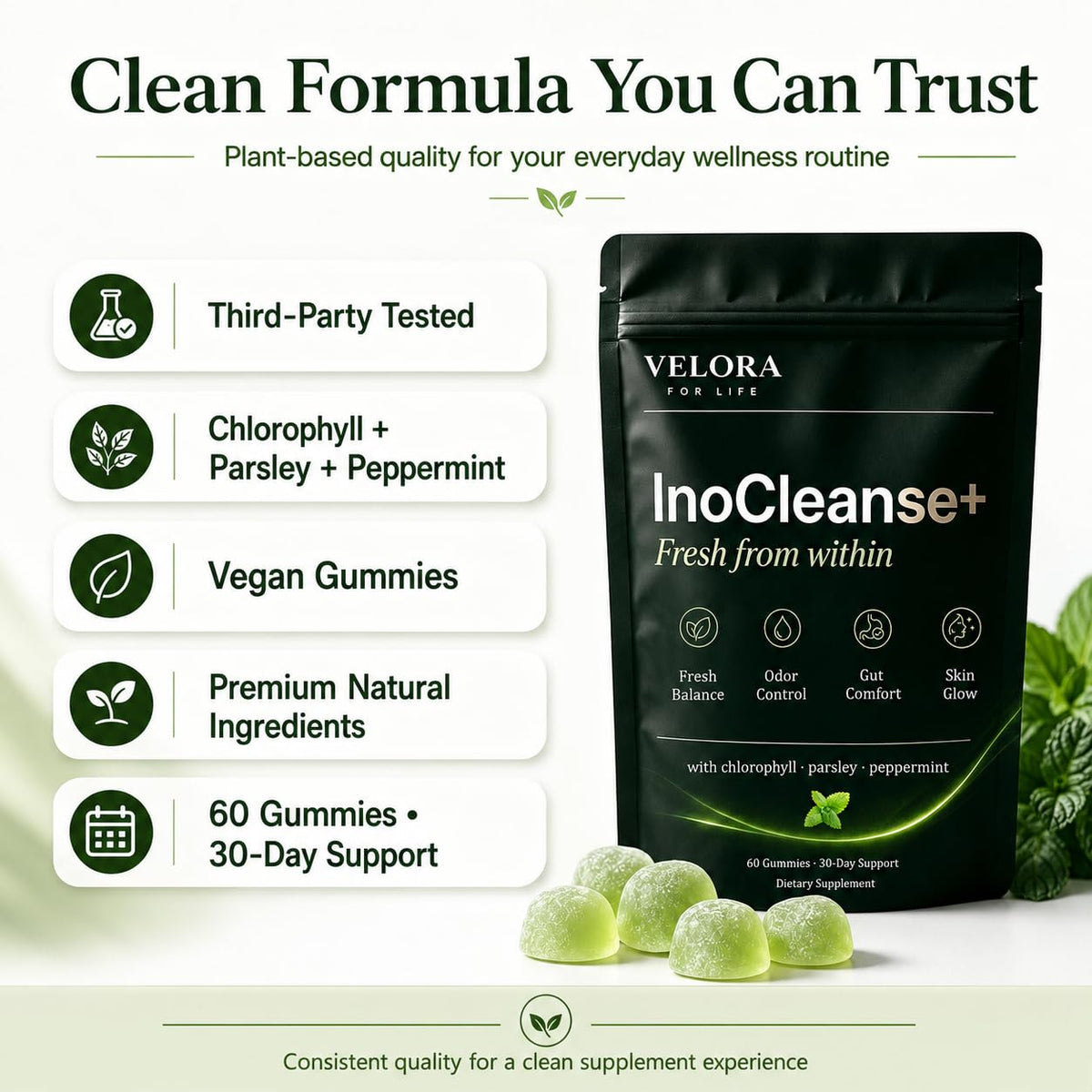 Pillow Daddy Gélules de Chlorophylle Inocleanse+ - Étiquette du produit