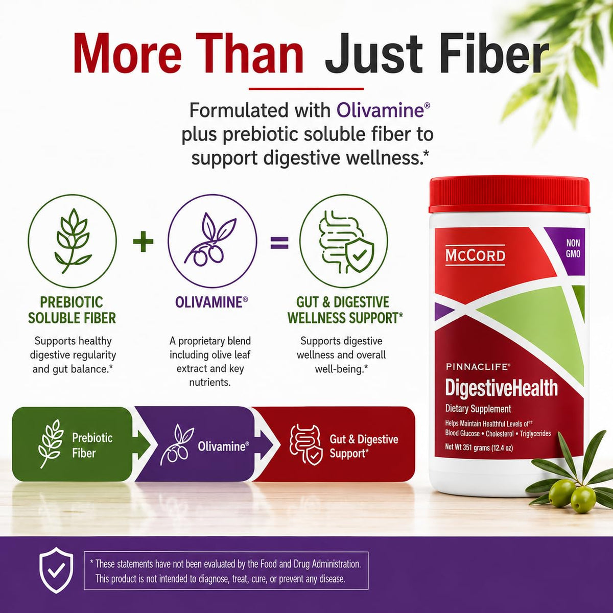 Pinnaclife complément alimentaire en poudre 11,7 g de fibres prébiotiques, vue de dos