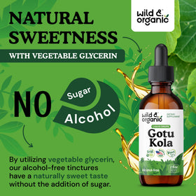 Pipette de teinture de Gotu Kola Wild & Organic