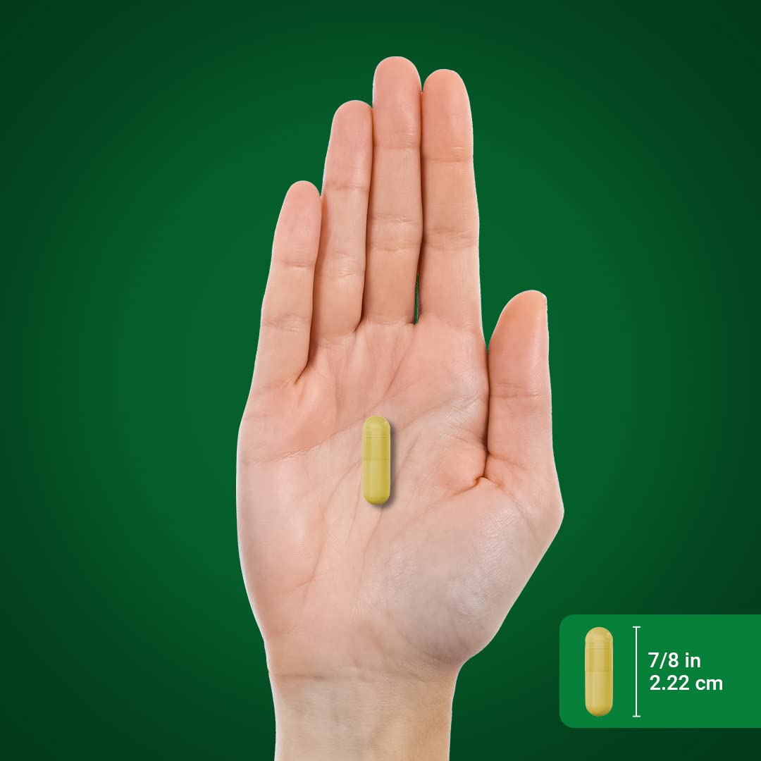 Piping Rock Complément Curcuma 240 capsules avec étiquette