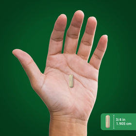 Piping Rock Complément Fo-Ti 180 Capsules dans une main