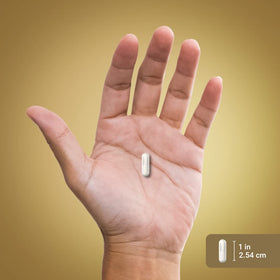 Piping Rock Complément Tudca 550mg 70 Capsules avec un verre d'eau