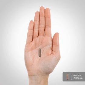 Piping Rock Extrait d'Arjuna 120 Capsules sur fond neutre