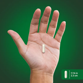 Piping Rock Extrait de Boswellia Serrata capsules sur table
