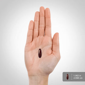 Piping Rock gélules de lécithine de tournesol 3600 mg emballage