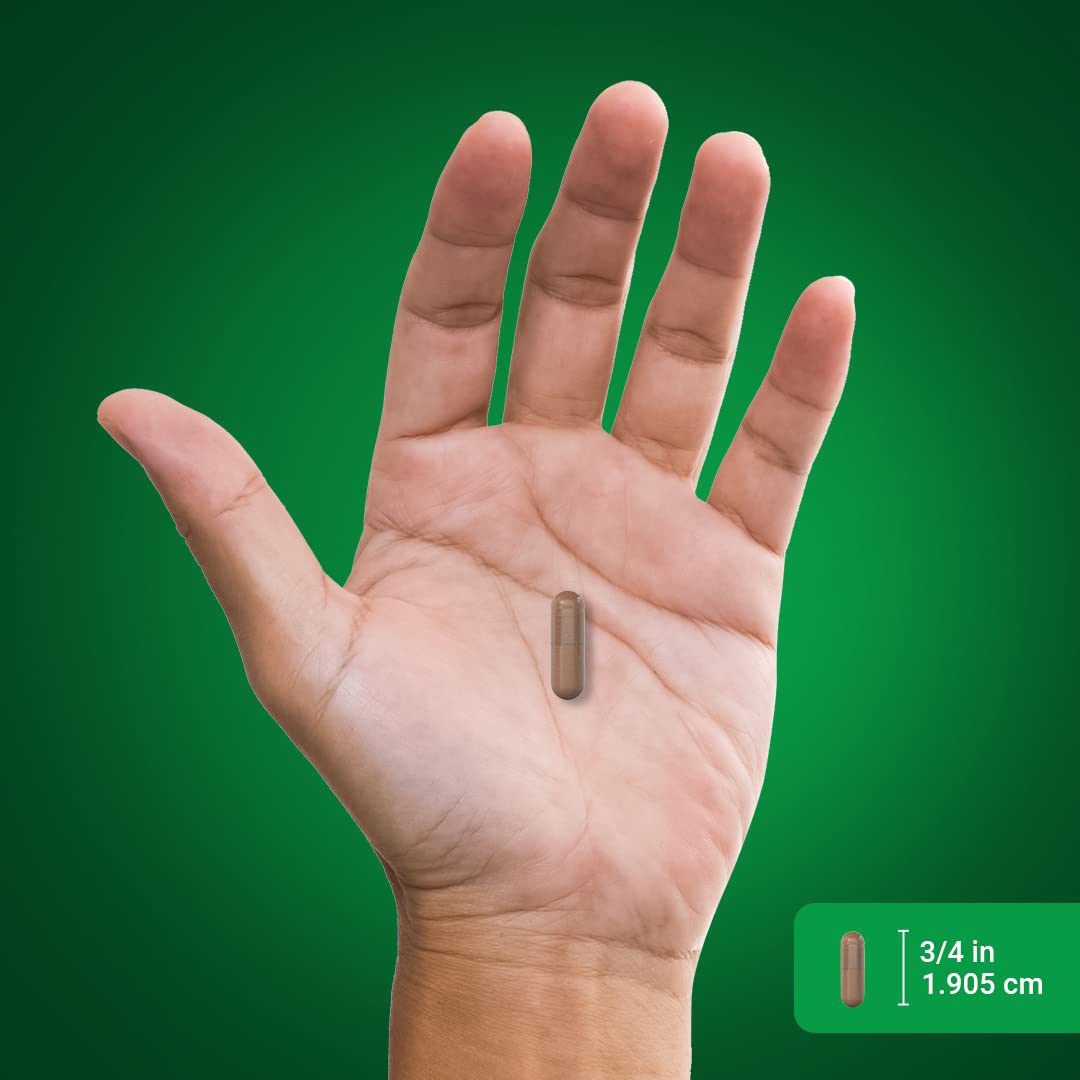 Piping Rock Ginkgo Biloba 120mg capsules in hand