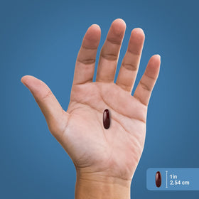 Piping Rock huile de krill 1000 mg gélules molles sur une table