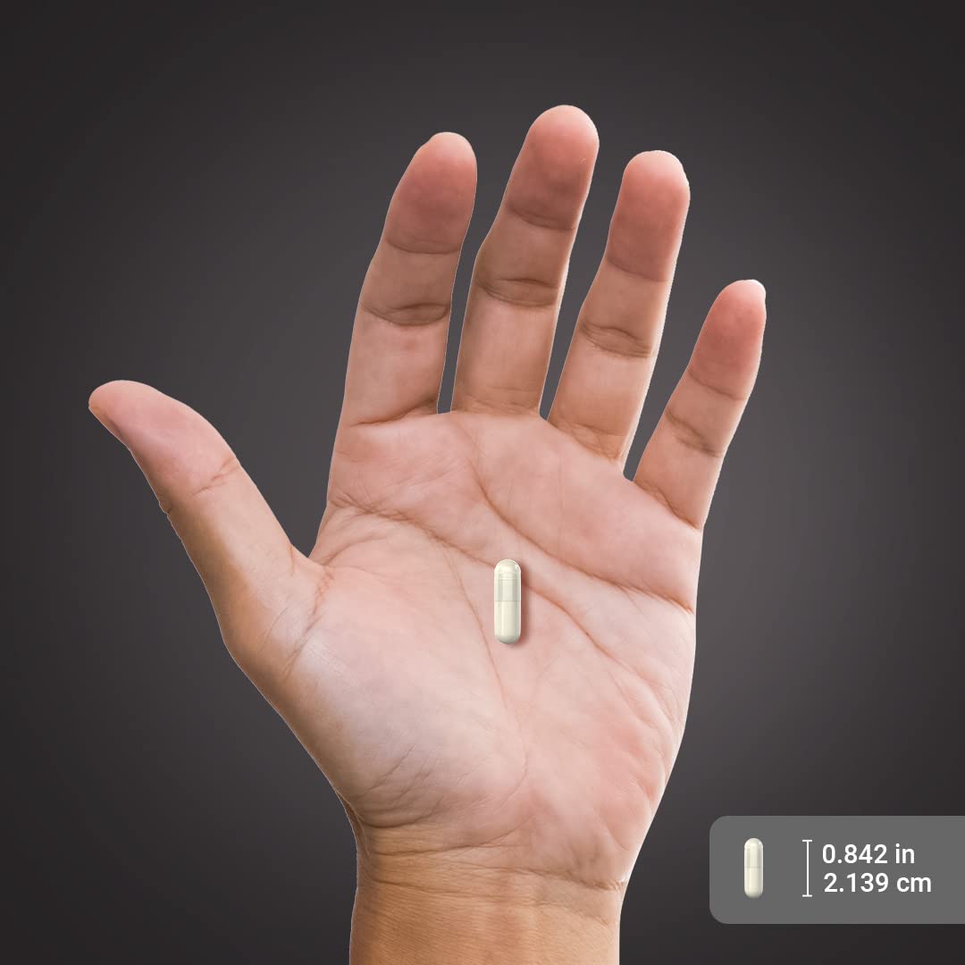 Piping Rock L-Glutamine capsules avec verre d'eau