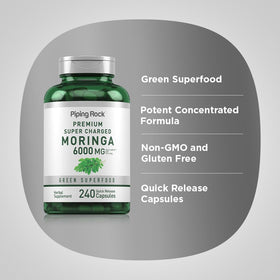 Piping Rock Moringa Oleifera sur fond neutre
