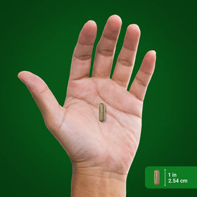Piping Rock Pygeum 200 Capsules Extrait Concentré échantillon