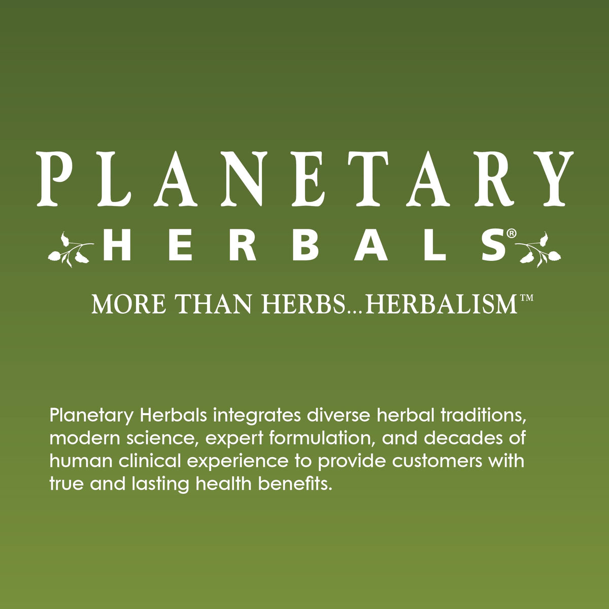 Planetary Herbals huile de graines de citrouille vue arrière
