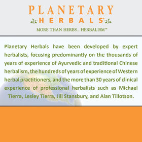 Planetary Herbals Mullein Lung Complex 90 comprimés dans une main