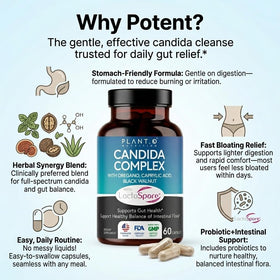 PLANT.O NUTRITION Complément Alimentaire Candida capsules dans un verre d'eau