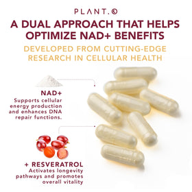 PLANT.O NUTRITION Complément NAD+ 500mg avec Resvératrol dosage recommandé