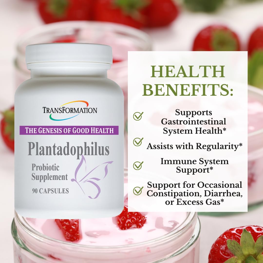 Plantadophilus capsules en bouteille