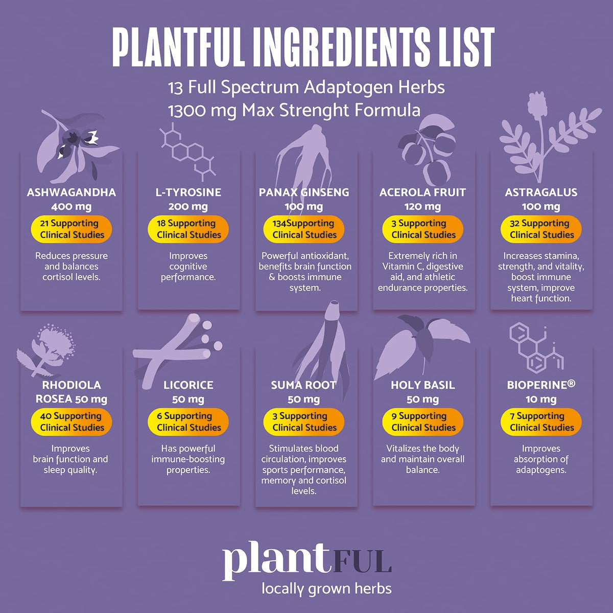 PLANTFUL RESEARCH Complément Alimentaire avec des herbes adaptogènes