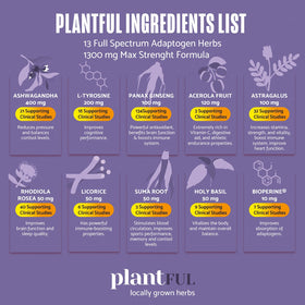 PLANTFUL RESEARCH Complément Alimentaire avec des herbes adaptogènes