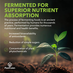PlantFusion complément curcuma et gingembre en utilisation dans un smoothie