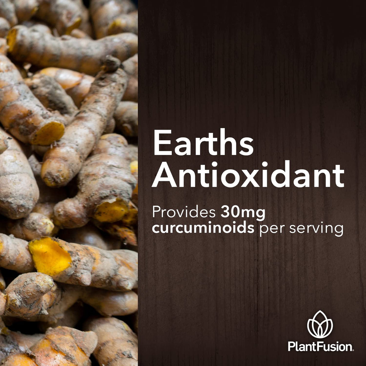 PlantFusion complément curcuma et gingembre présentation des ingrédients