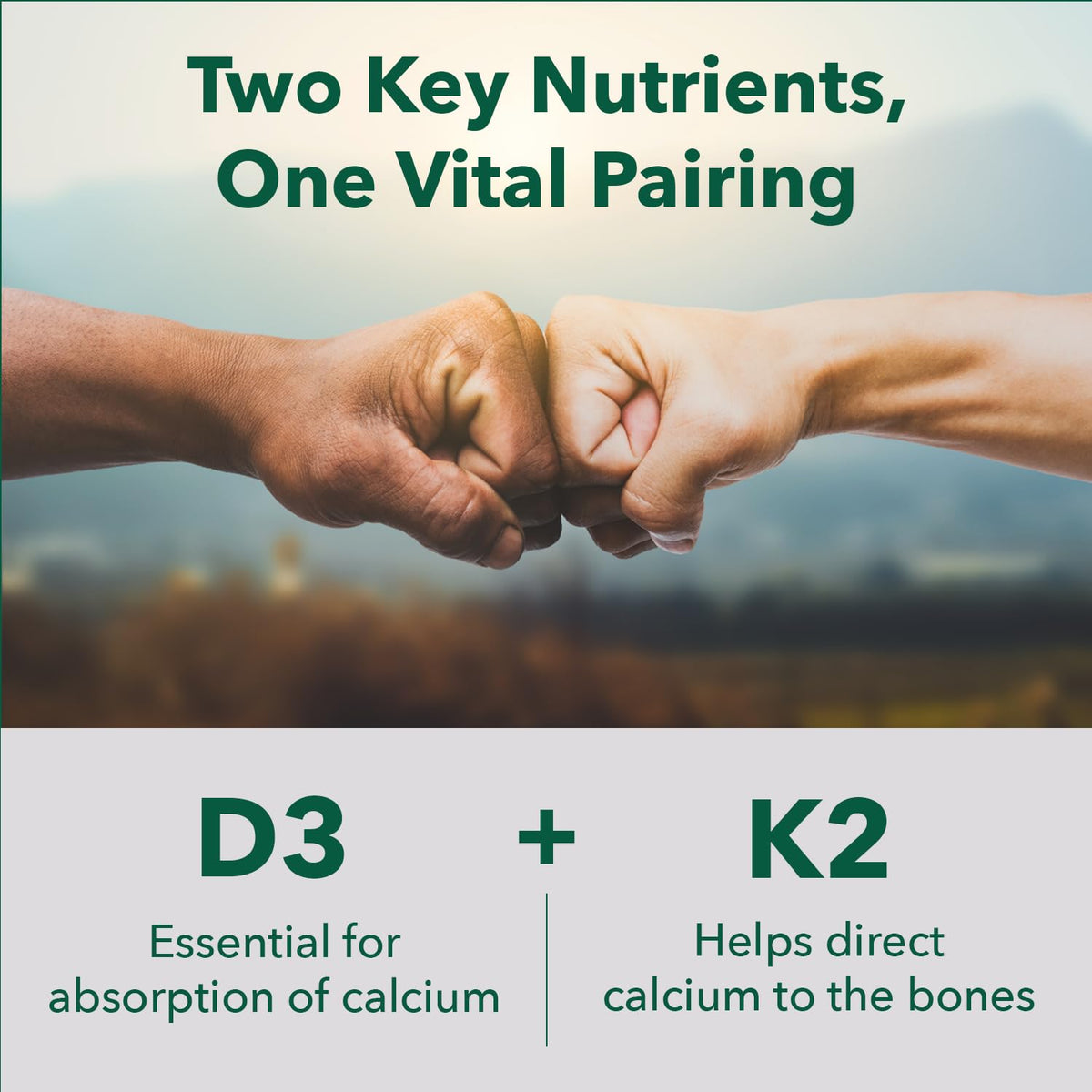 PlantFusion D3 + K2 5000 UI 60 capsules vue arrière