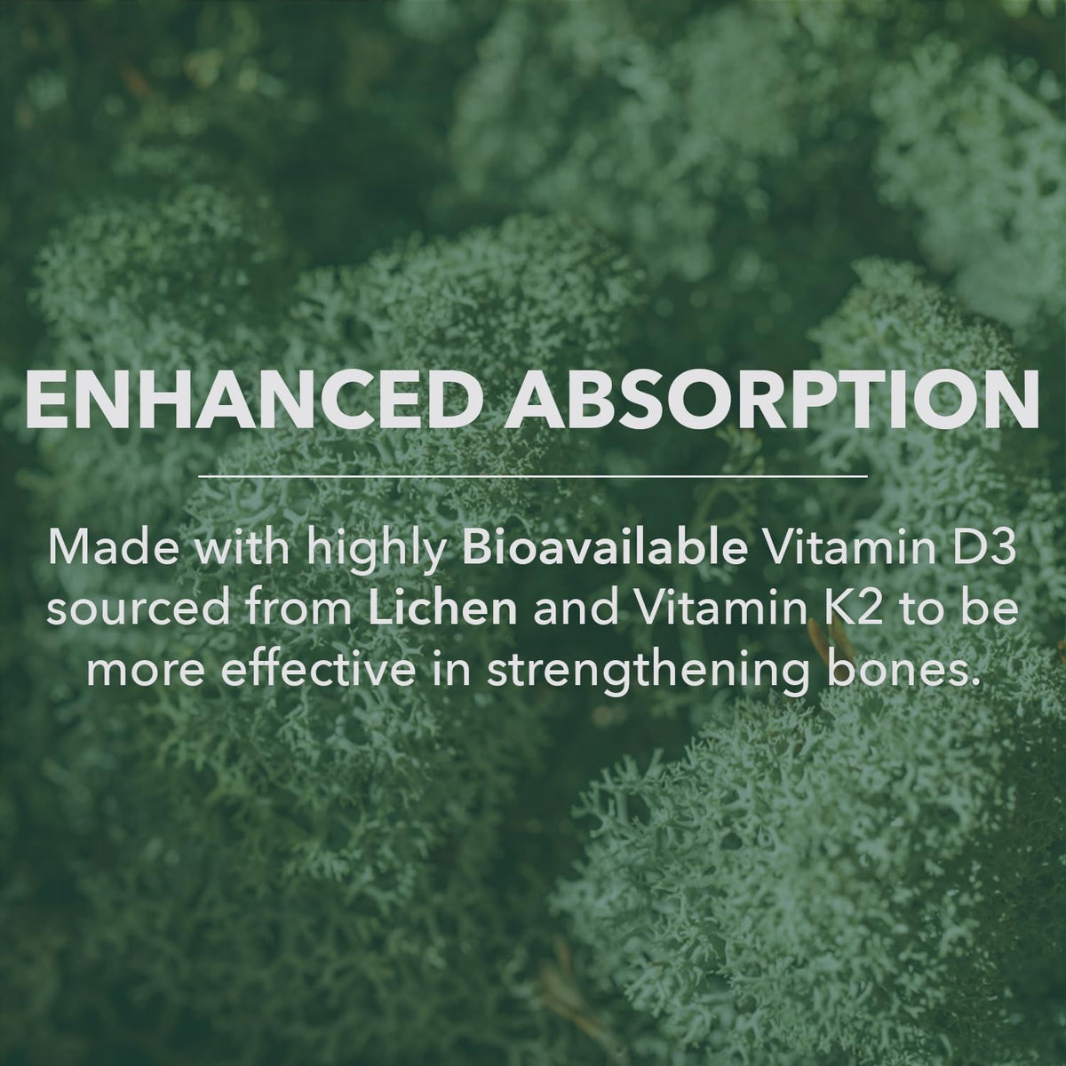PlantFusion D3 + K2 5000 UI capsules ouvertes