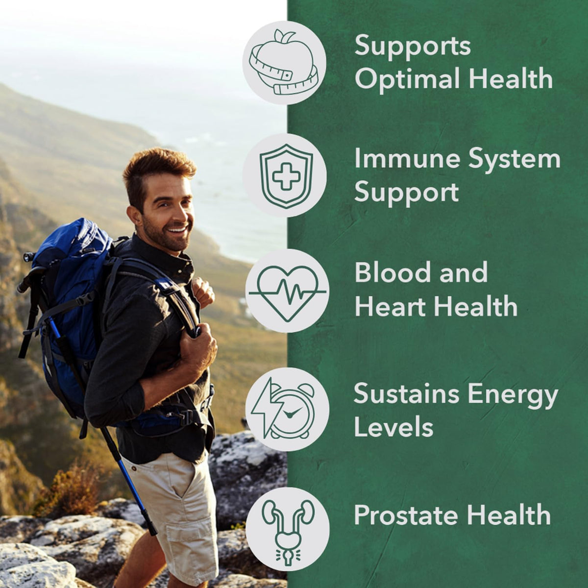 PlantFusion Multivitamine Bio pour Hommes - Comprimé sur fond blanc