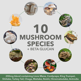 PlantFusion Poudre de Protéine de Champignon 3 en 1 Chocolat affichant les valeurs nutritionnelles
