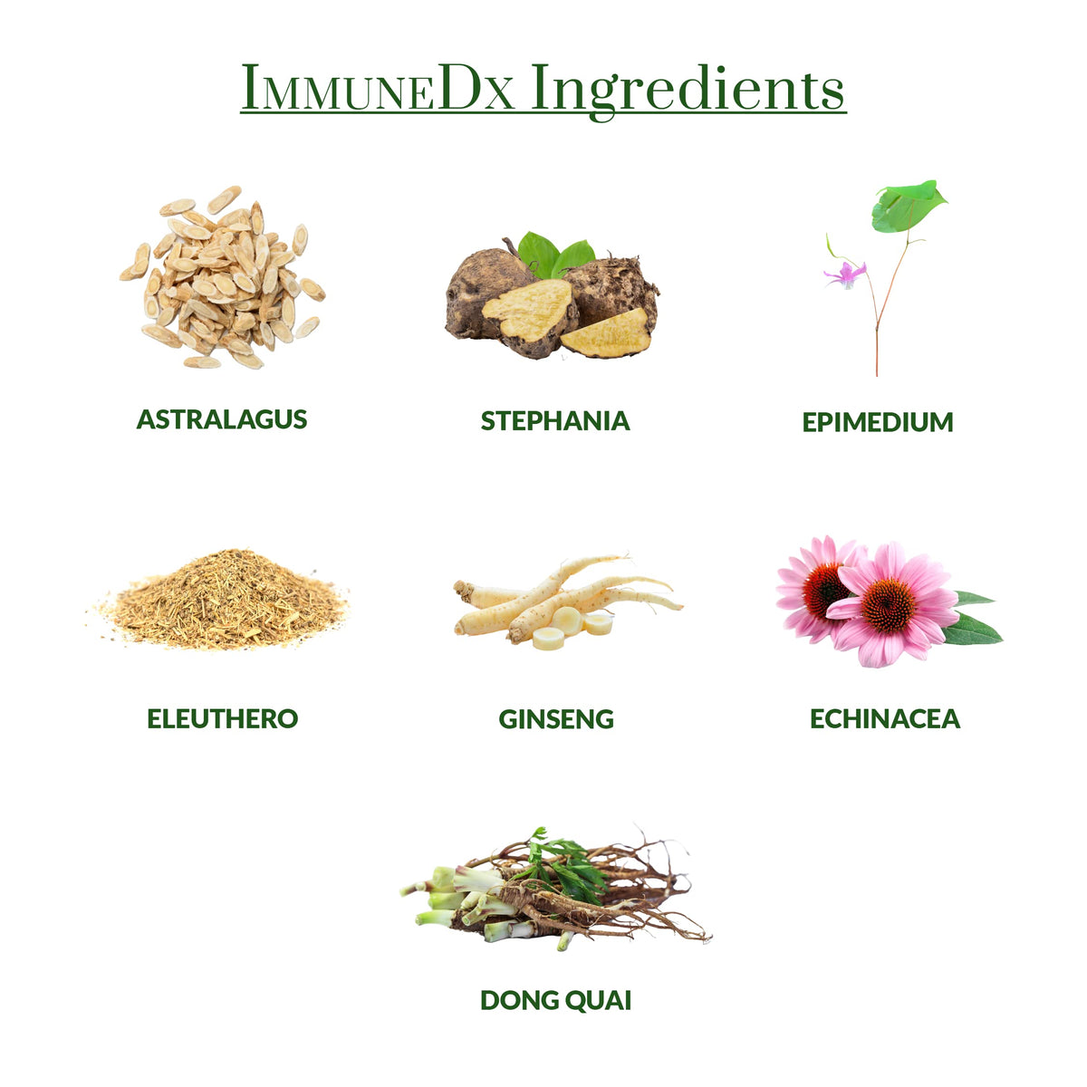Plantiva daily wellness Complément Alimentaire Végétal 60 Capsules avec ingrédients