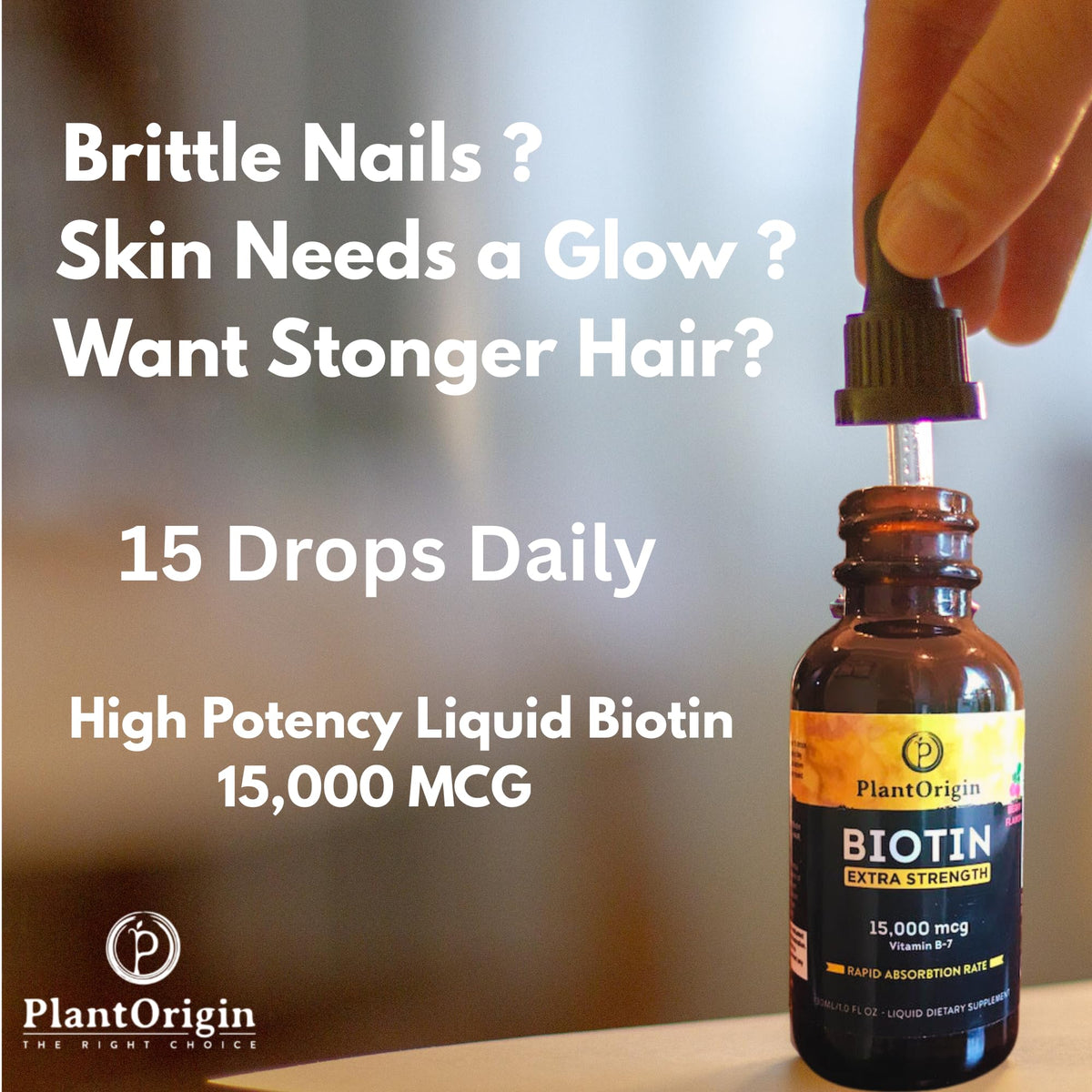 PLANTORIGIN Biotine Liquide 15 000 MCG ingrédients sur l'étiquette
