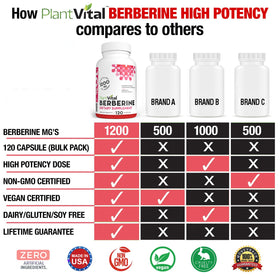 Plantvital Berberine 1200mg packaging