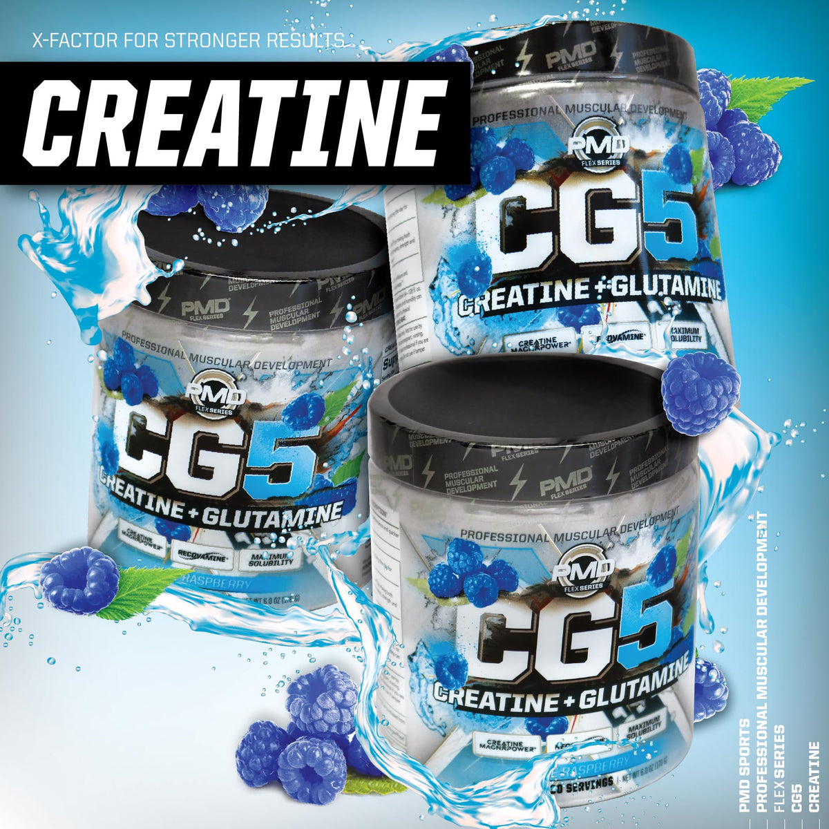 PMD CG5 Poudre de Créatine et L-Glutamine 240g avec d'autres compléments