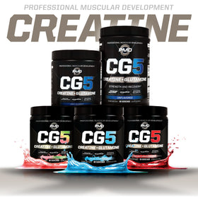PMD CG5 Poudre de Créatine et L-Glutamine avec accessoires d'entraînement