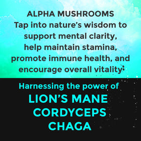 Poche de champignon Chaga, gros plan