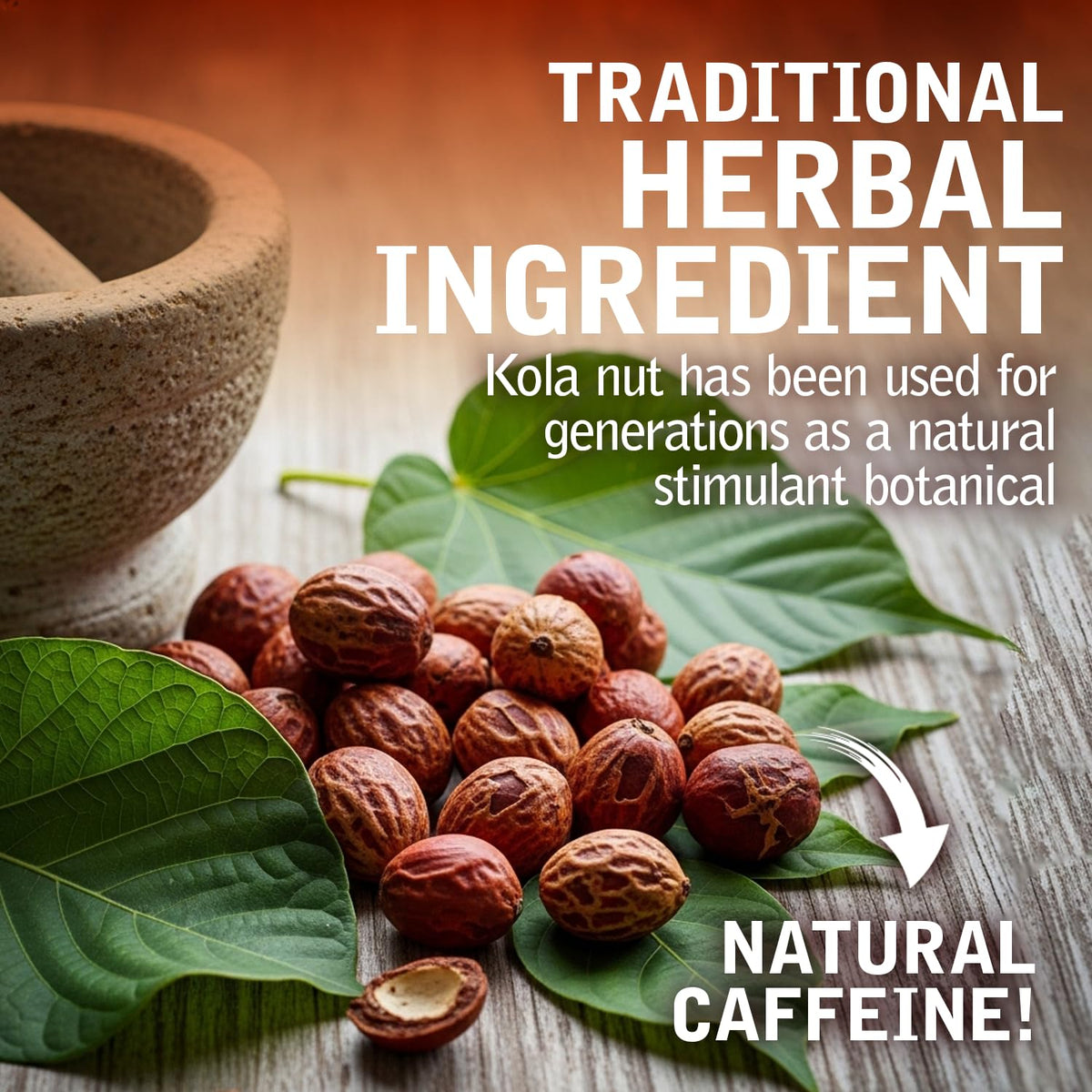 Pocion Jaccoud Kola Nut Elixir avec des noix de kola en arrière-plan
