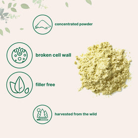Pollen de Pin en Poudre Micro Ingredients 181g sur une table avec smoothie